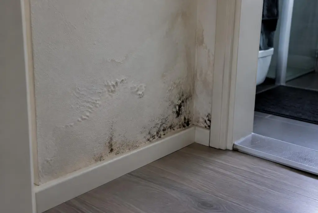 Lekdetectie Aalsmeer – vochtplek met schimmel op een muur